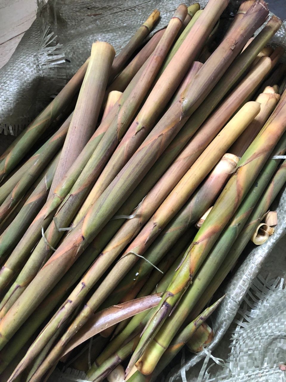 水竹笋 野生笋 好开心 在深圳也可以吃到新鲜的水竹笋啦 身为浙江的