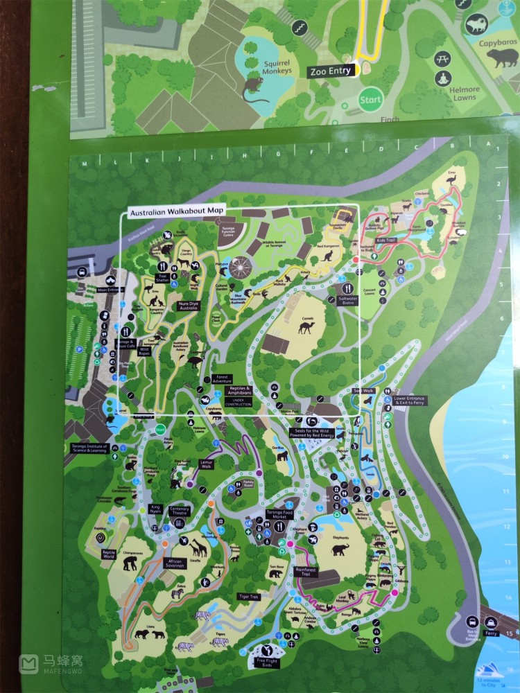 多彩悉尼之塔龙加动物园