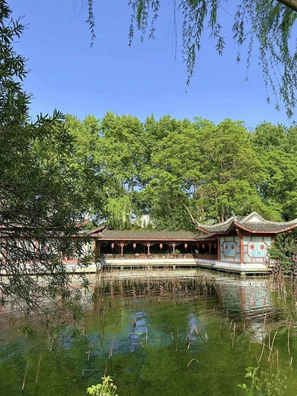襄阳游玩|在阳春门公园走走停停 既然去不了诗和远方,那就觅一处清雅
