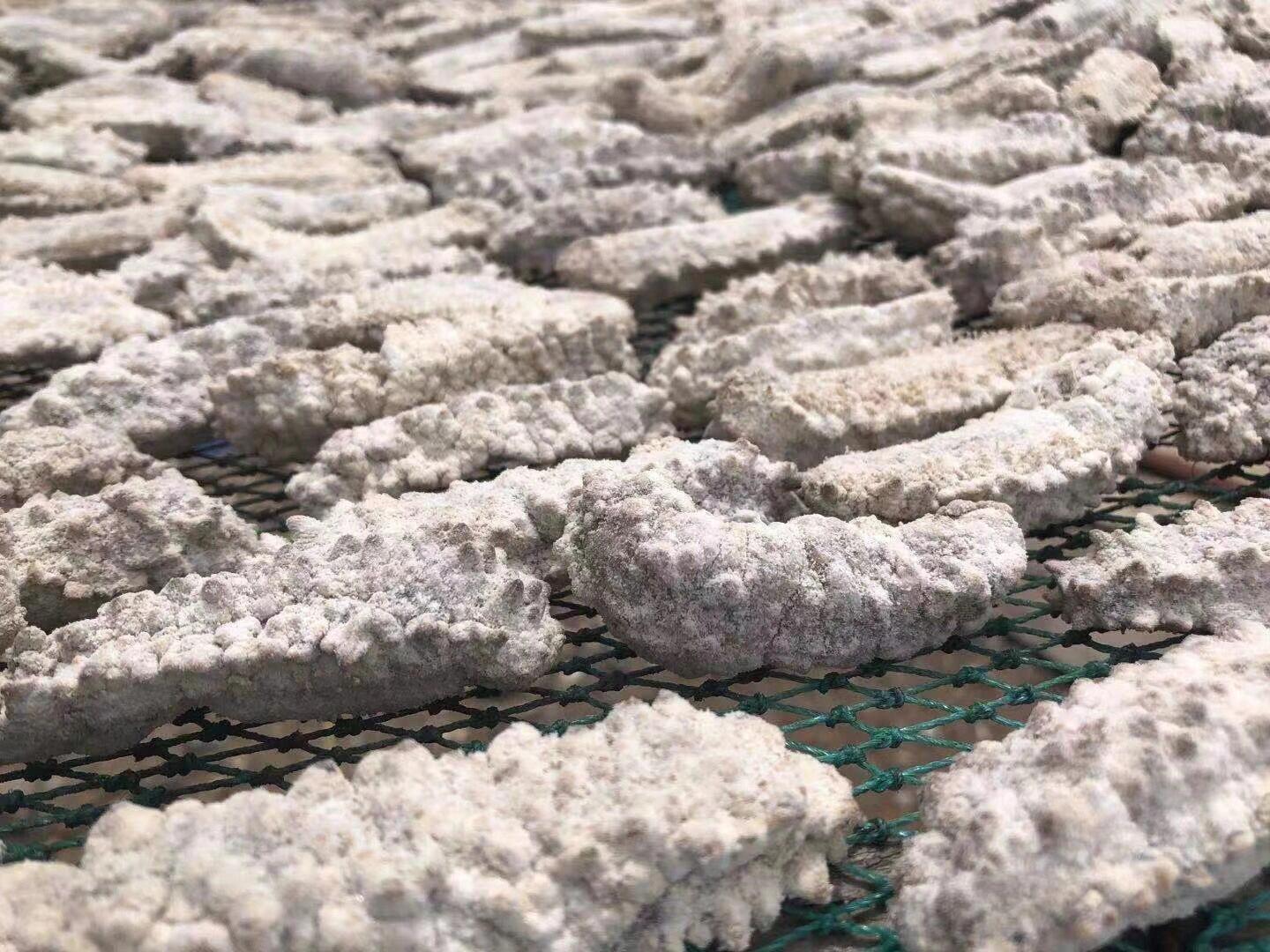 野生黄玉参泡发方法: 1,准备一.@褐星ee的动态