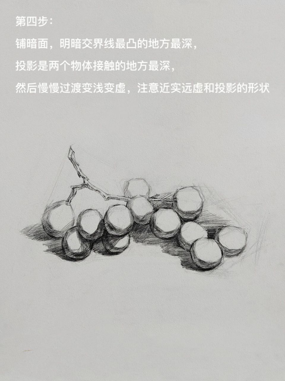 素描葡萄结构图片