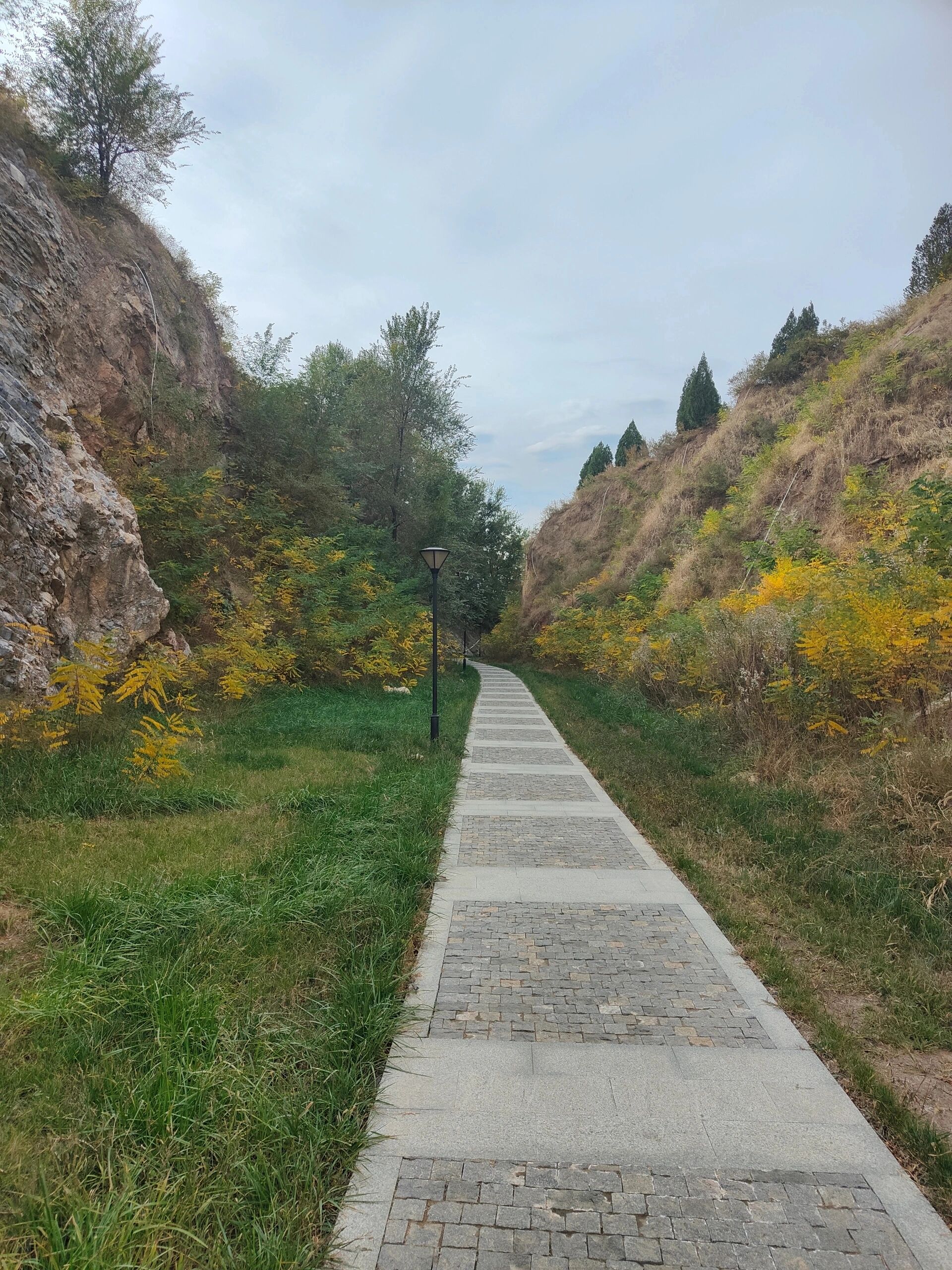 淄博小众景点之一九顶山 淄博高新区小众景点之一九顶山 景点名称