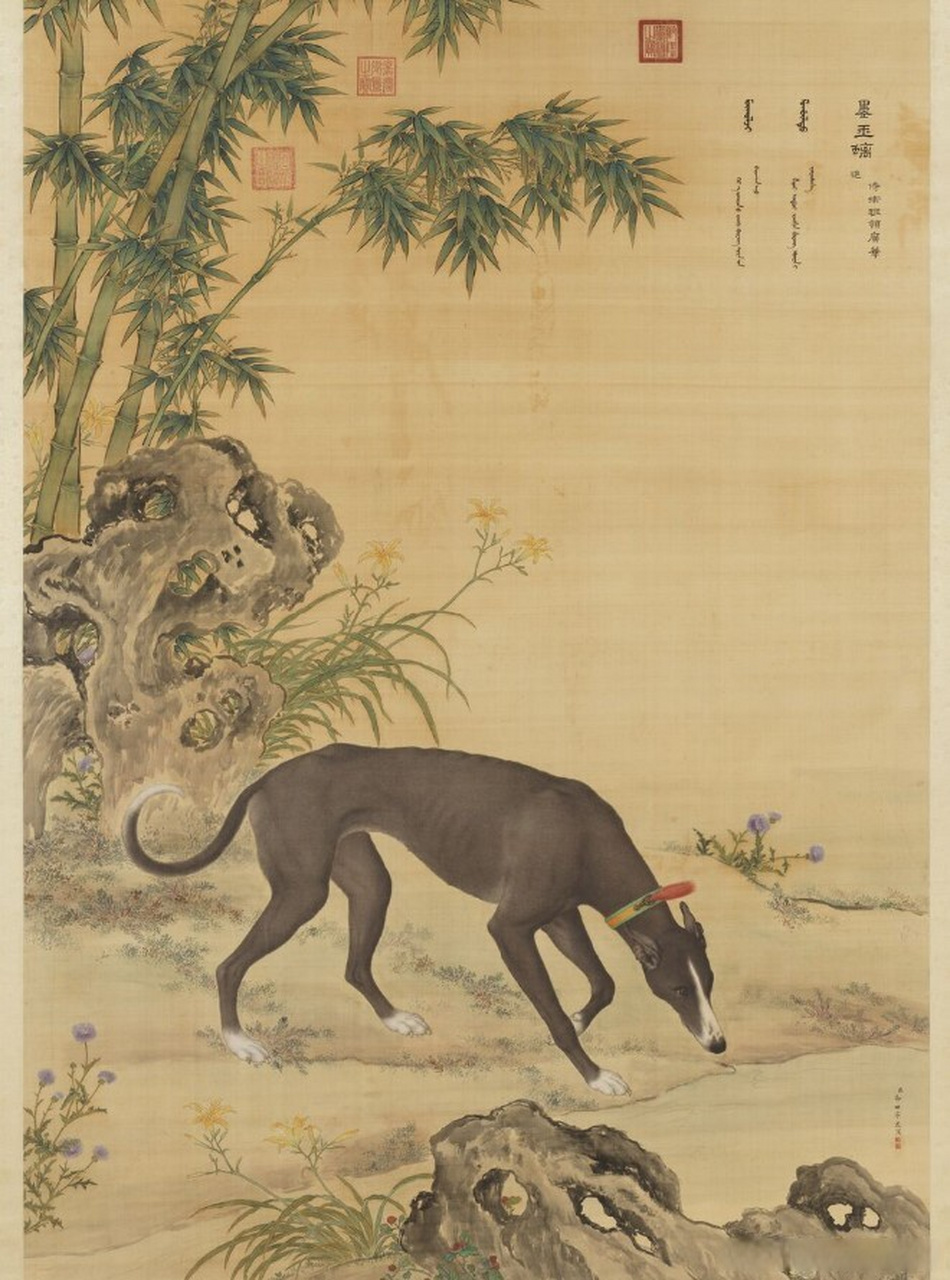 郎世宁十犬图的价格图片