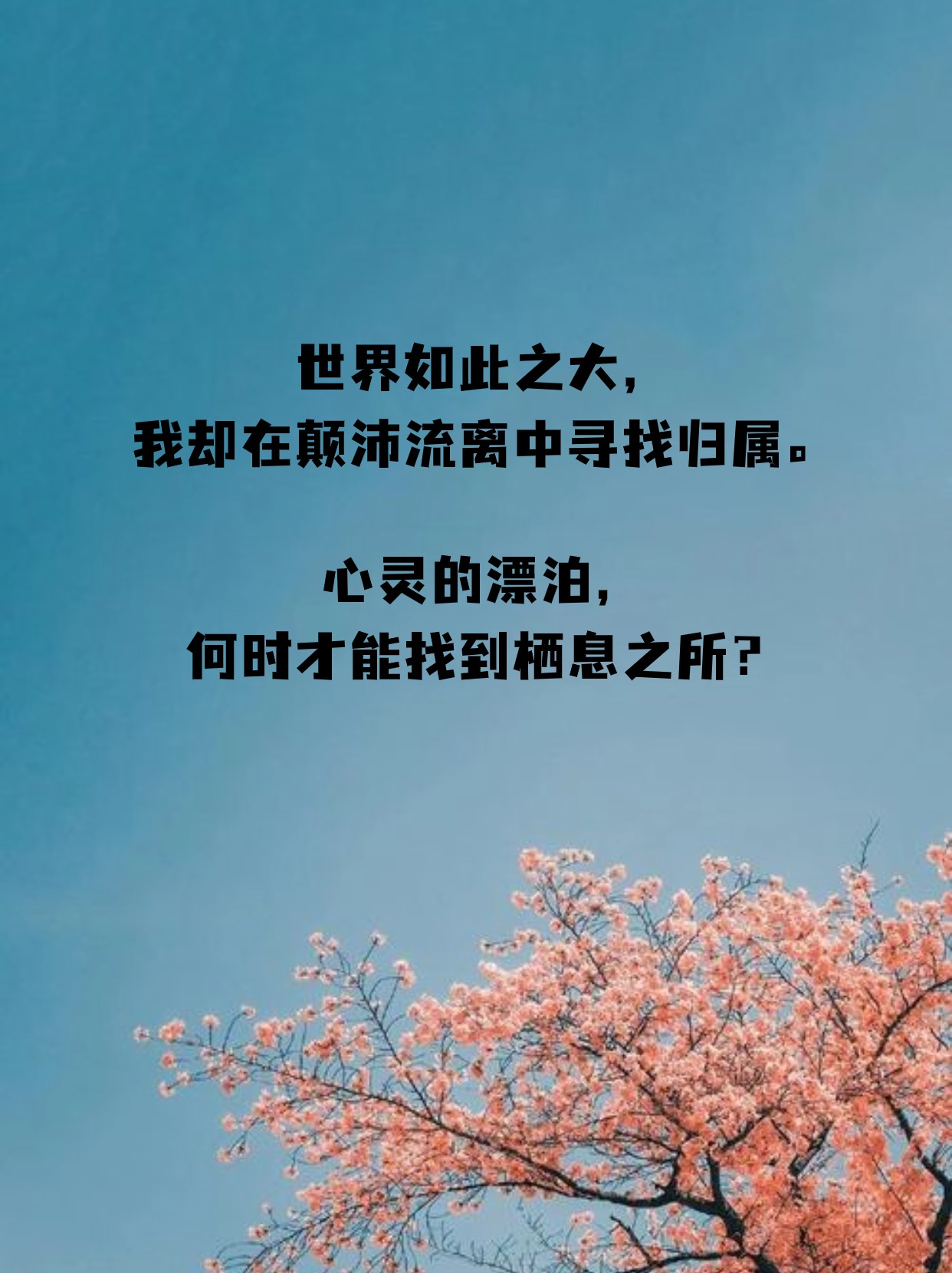 颠沛流离的句子发朋友圈