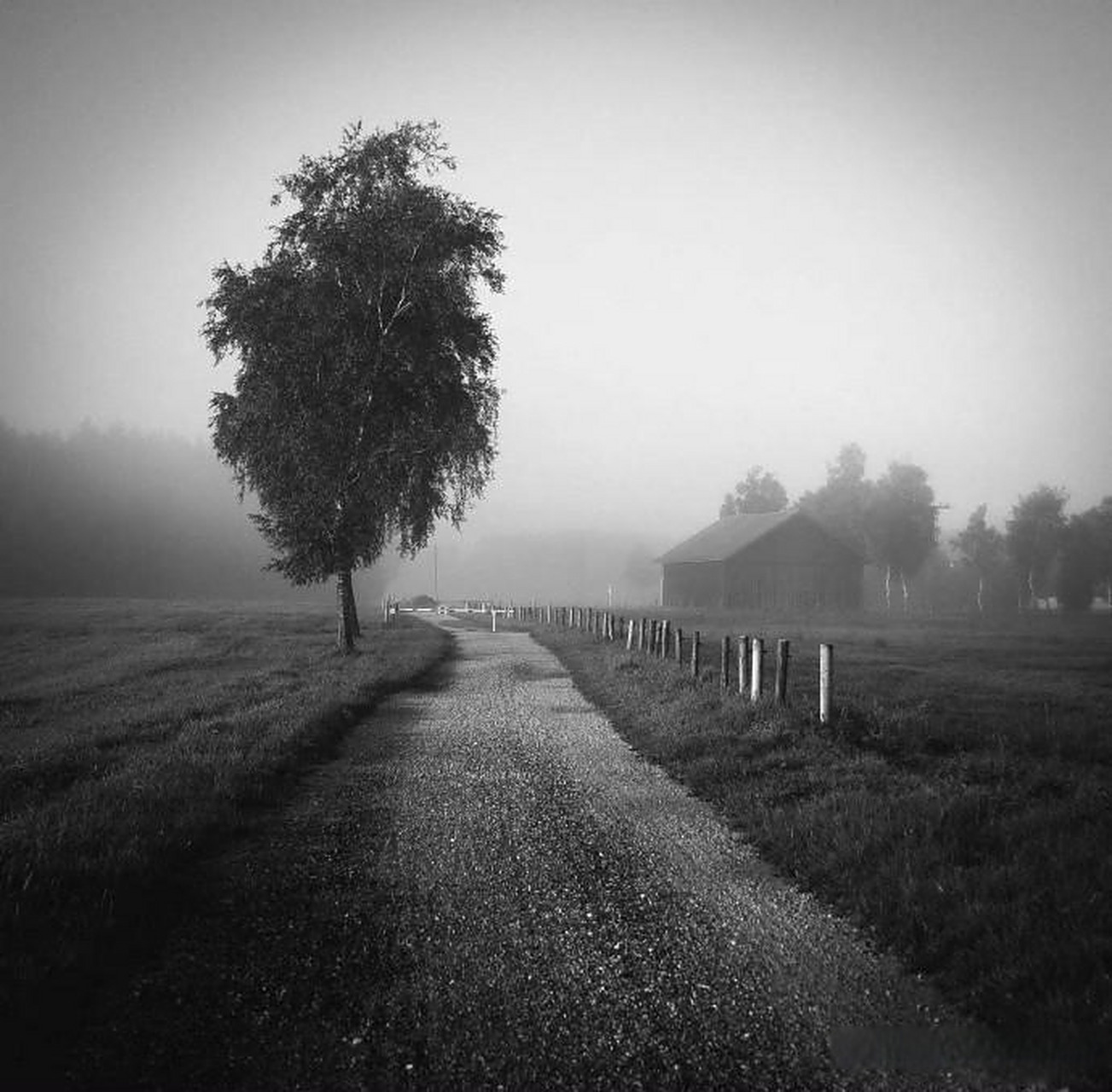 【黑白风光摄影作品】 摄影师:renate wasinger