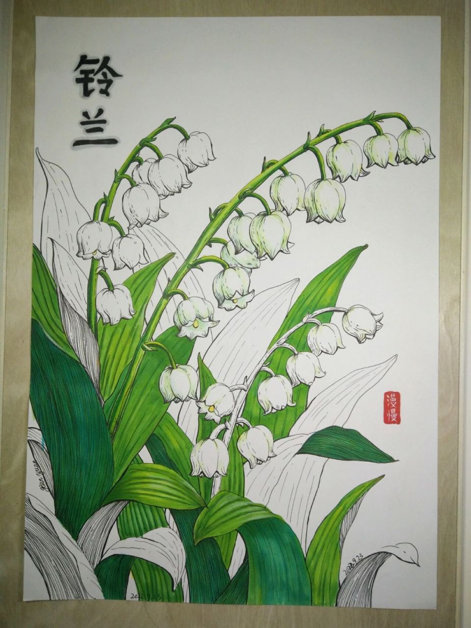 铃兰马克笔线描绘画装饰画插画儿童画原创 总感觉铃兰是一种有声音的