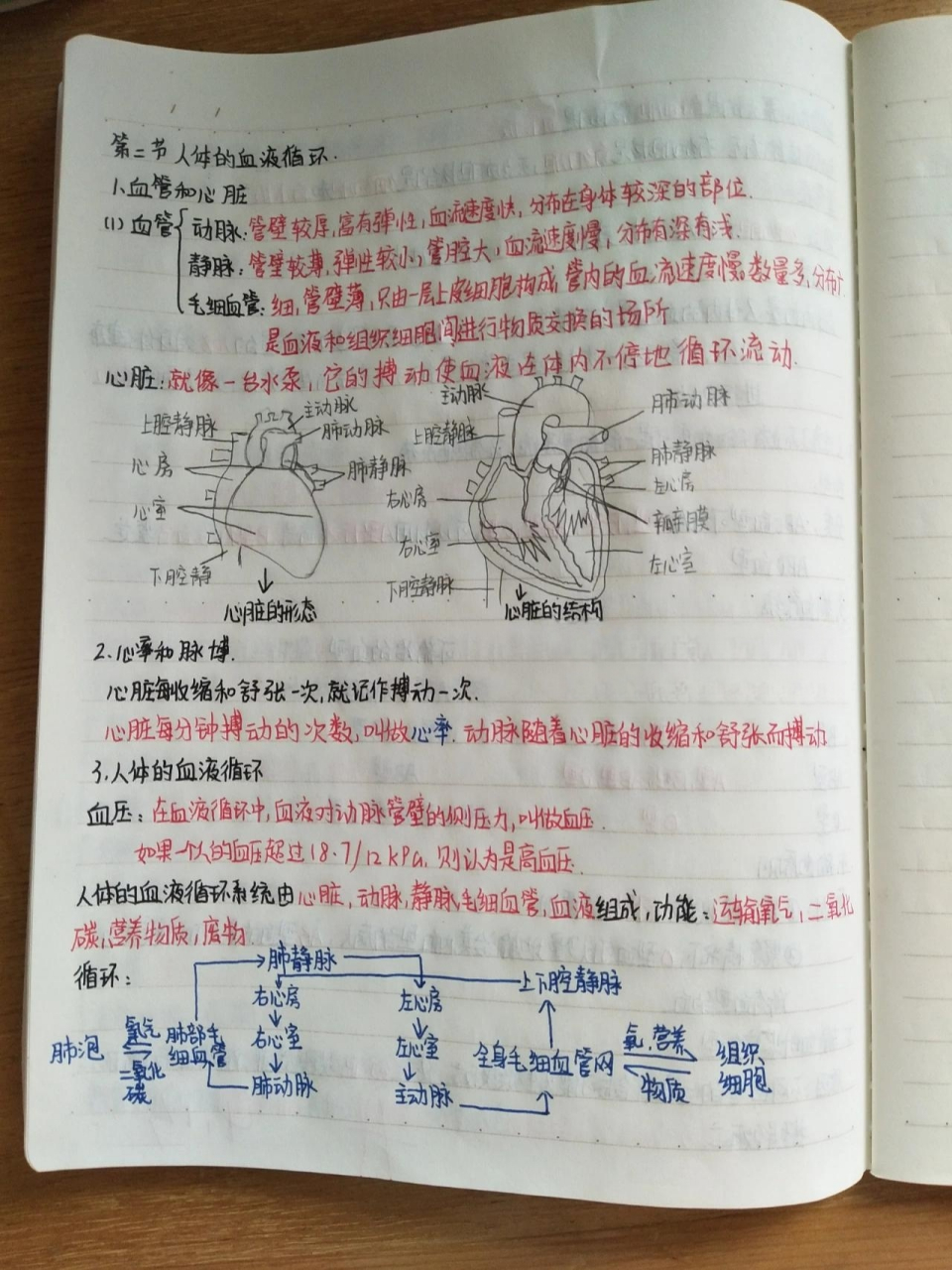 七下生物笔记第十章第二节――苏教版