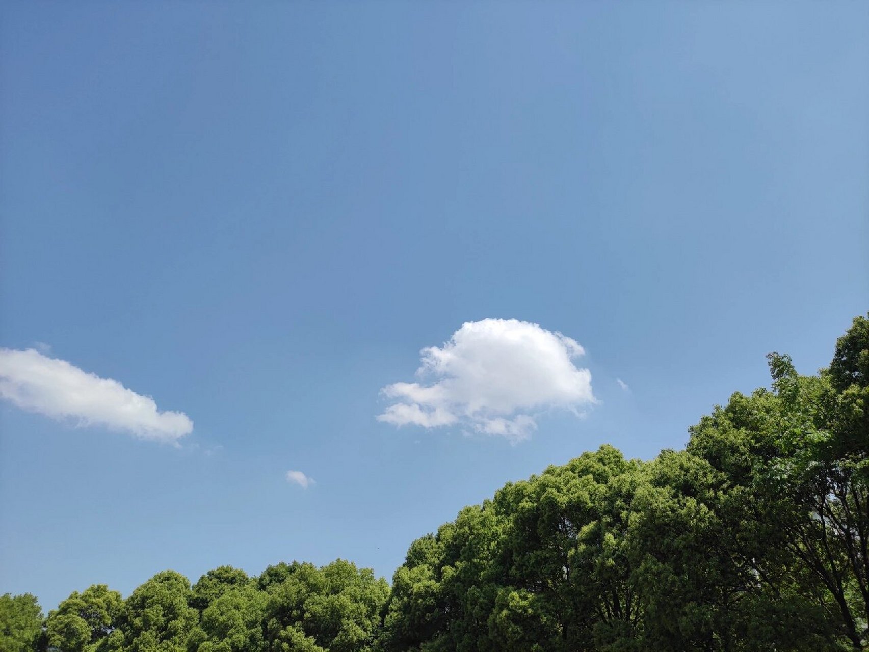 【校园美景】湖北中医药大学黄家湖校区7815          上次给大家