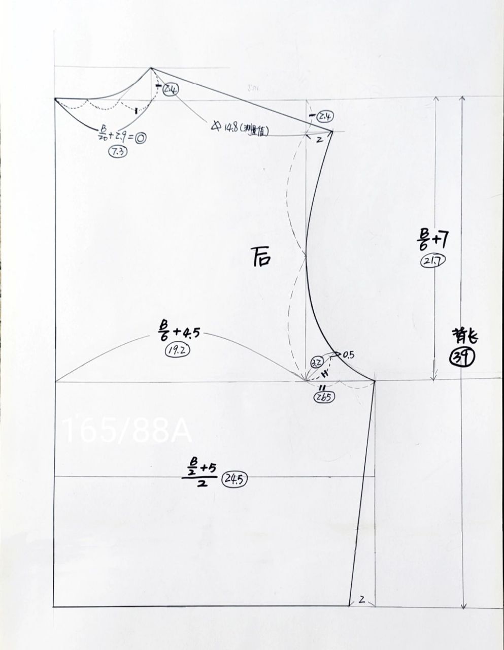 女装上衣原型尺寸图片