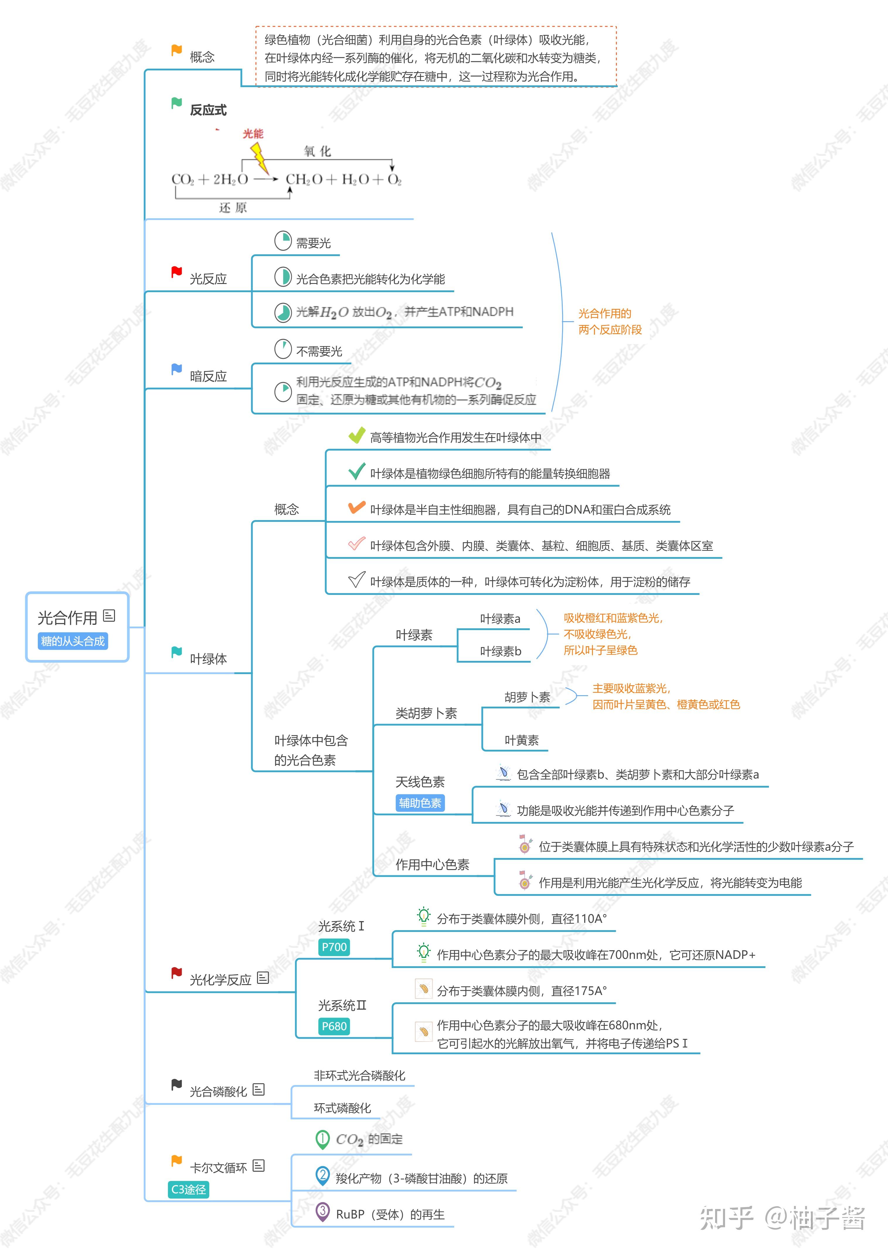 糖的制作过程思维导图图片