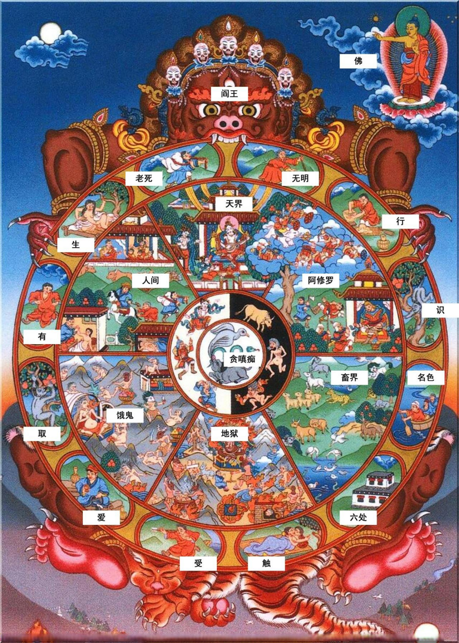一张轮回图揭示了我们存在于这个世界的原因.
