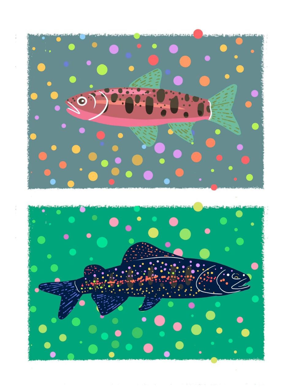 倾倒众多路亚爱好者|山女尊 08山女鳟属鲑科大麻哈鱼属,和现在的