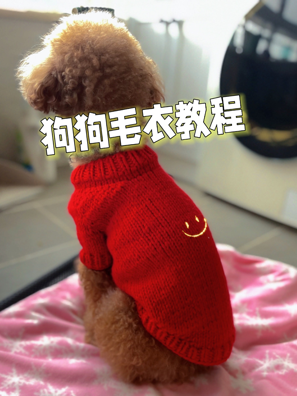 棒针狗狗毛衣教程 一天就能完工[打call] 线材:手编2号线 棒针:4.0,5.