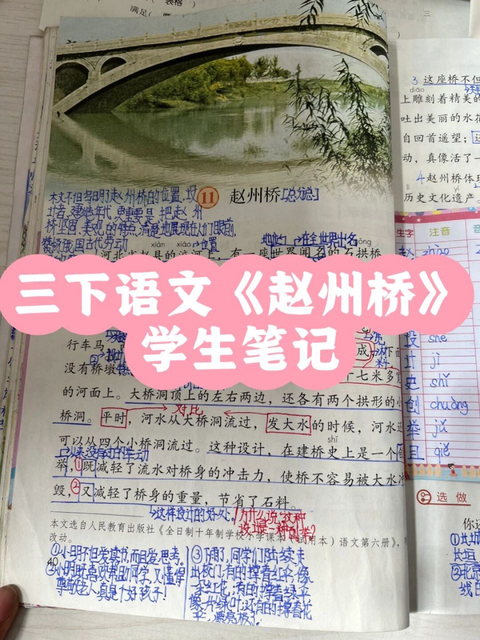 三下语文《赵州桥》学生笔记 #小学语文# #三年级语文# #小学语文课堂