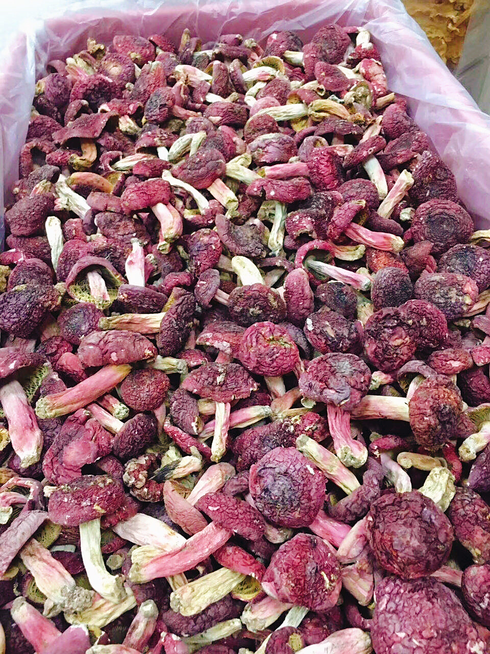 福建三明高山野生正红菇 关于红菇,又叫做红蘑菇,顾名思义就是颜色为