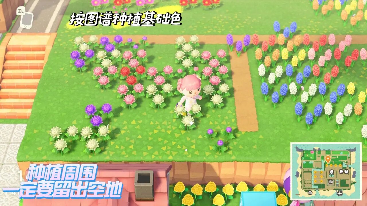 动森花卉杂交93680小时玩家经验!