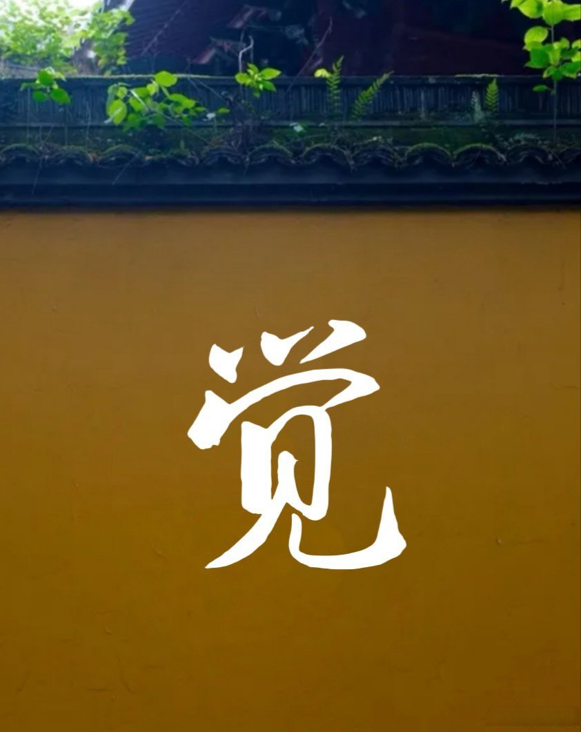 我发现以下4种技巧对于培养我们对身体和精神过程