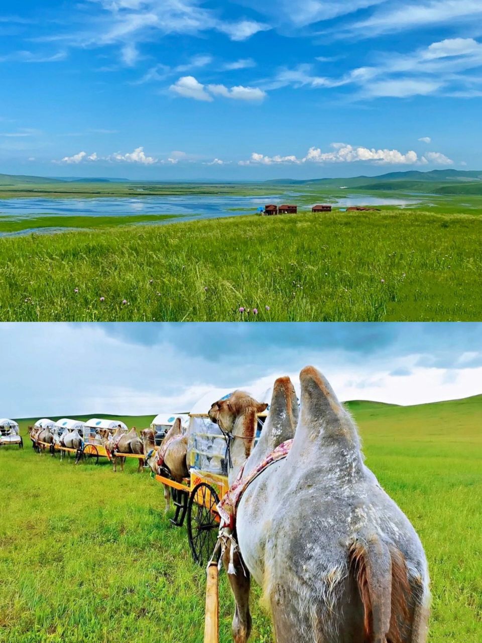 呼伦贝尔旅行旅游攻略-景点㉑186彩带河🎪 186彩带河,听起来名字