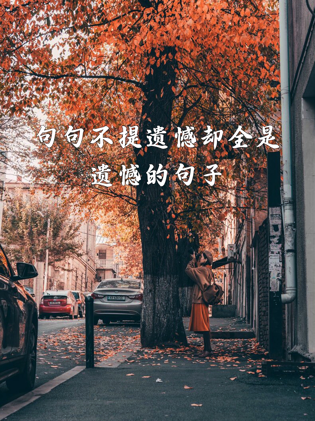 句句不提遗憾却全是遗憾的句子 友友们,今天给大家分享一些"句句不提