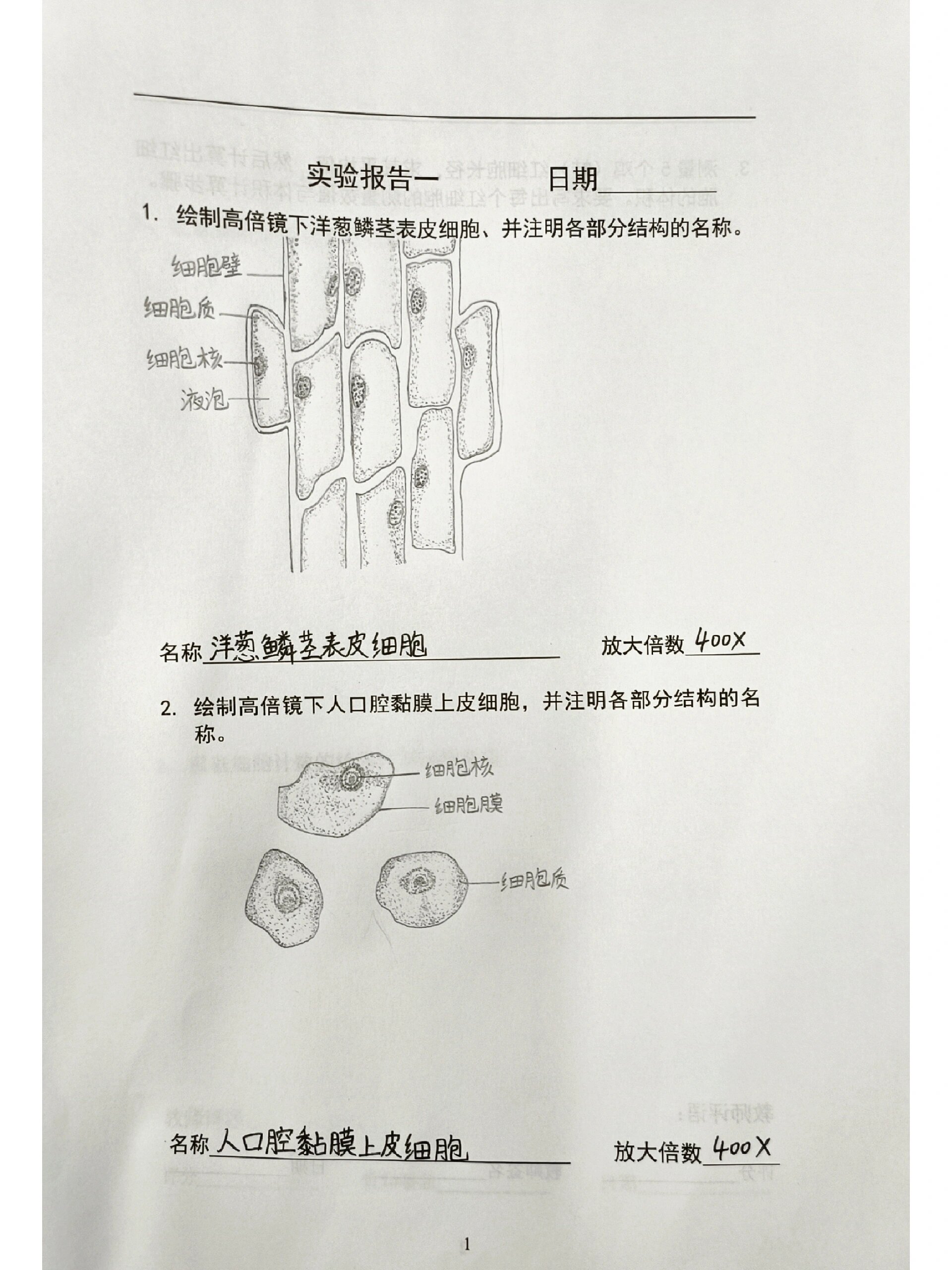 细胞生物学绘图图片