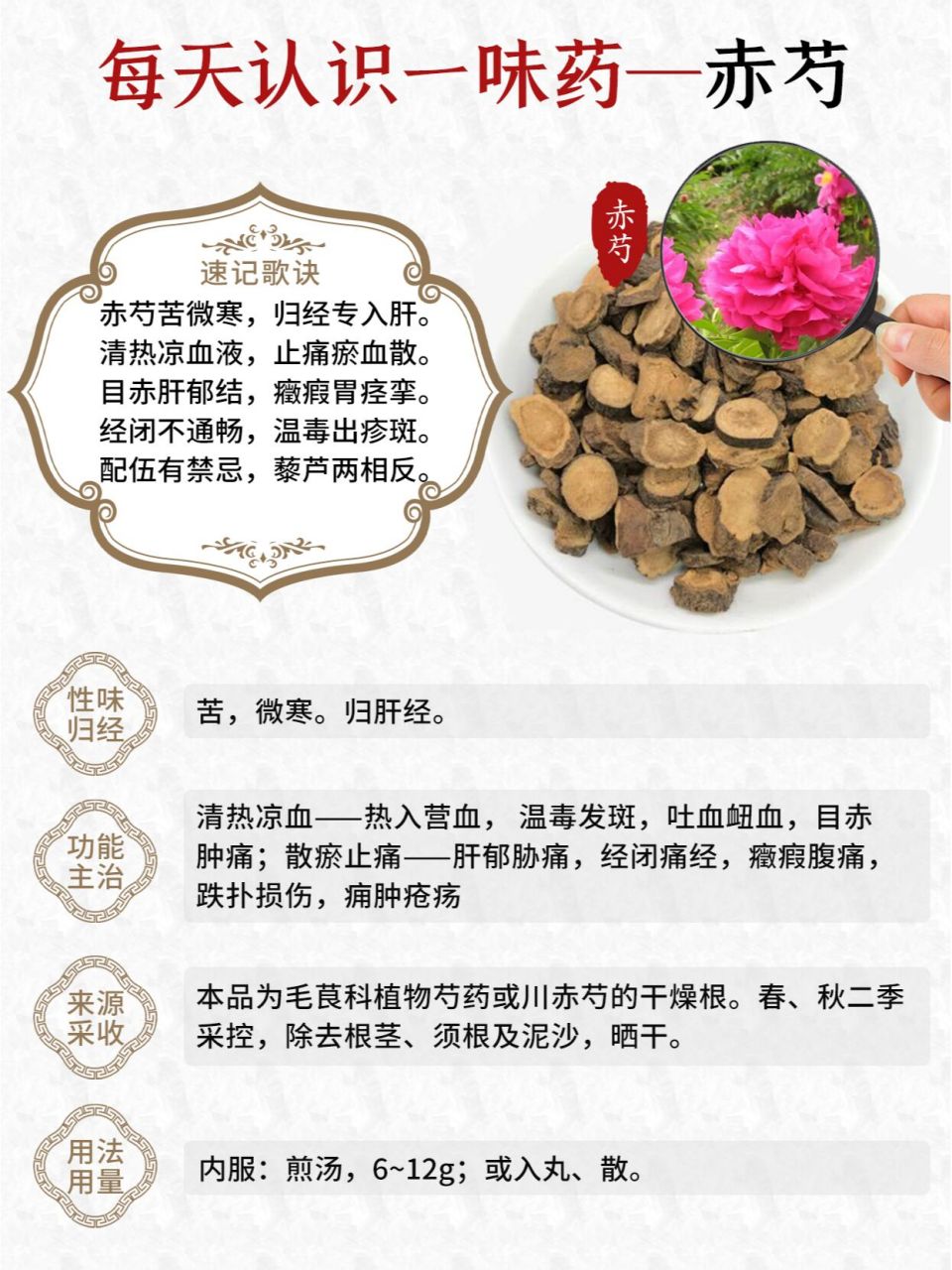 每天认识一味中药~赤芍