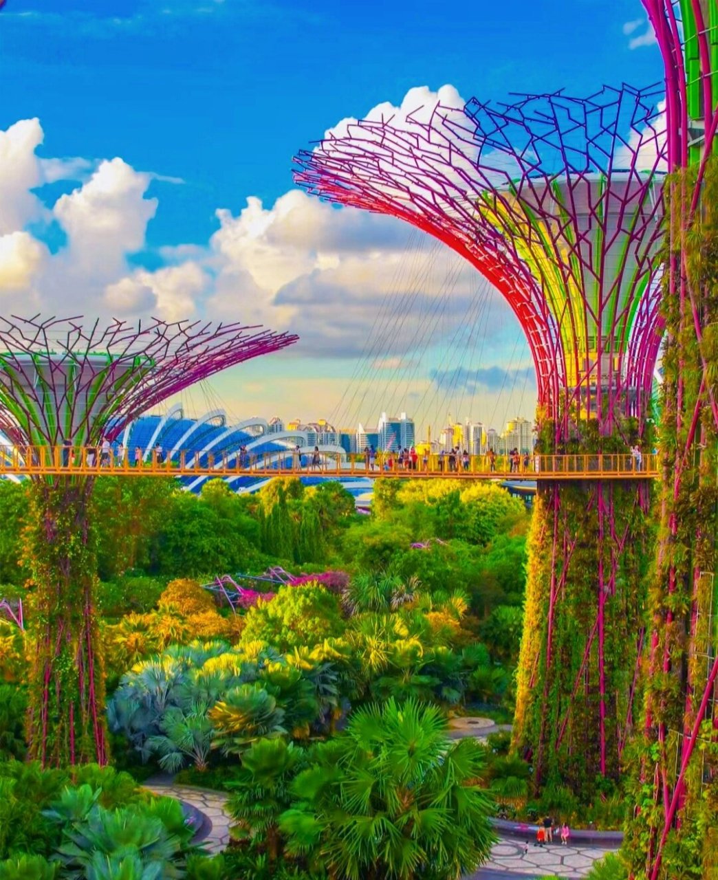 让植物给你一点震撼—滨海湾花园 这座新加坡最著名的景观温室将一座