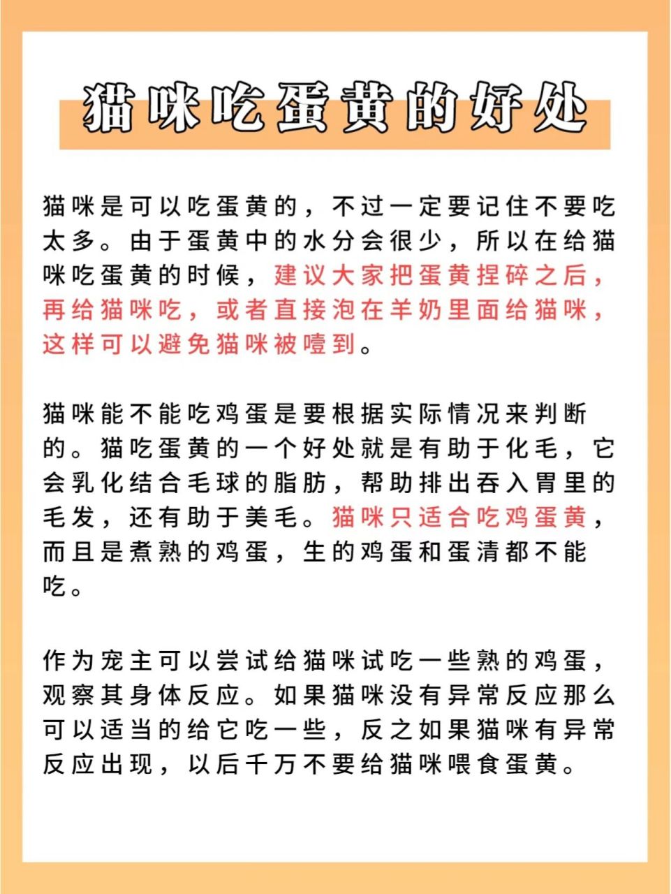 猫咪吃鸡蛋的好处和坏处,你清楚吗?