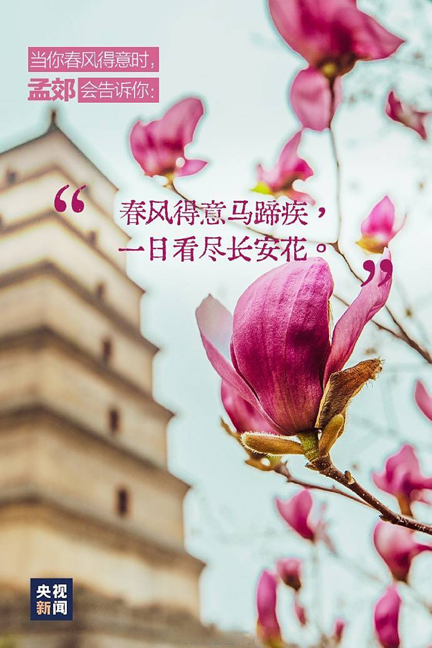 晚安,高三 春风得意马蹄疾,一日看尽长安花.