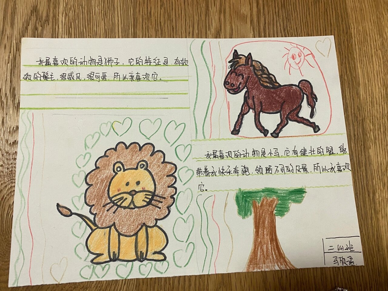 手抄报——我最喜欢的动物