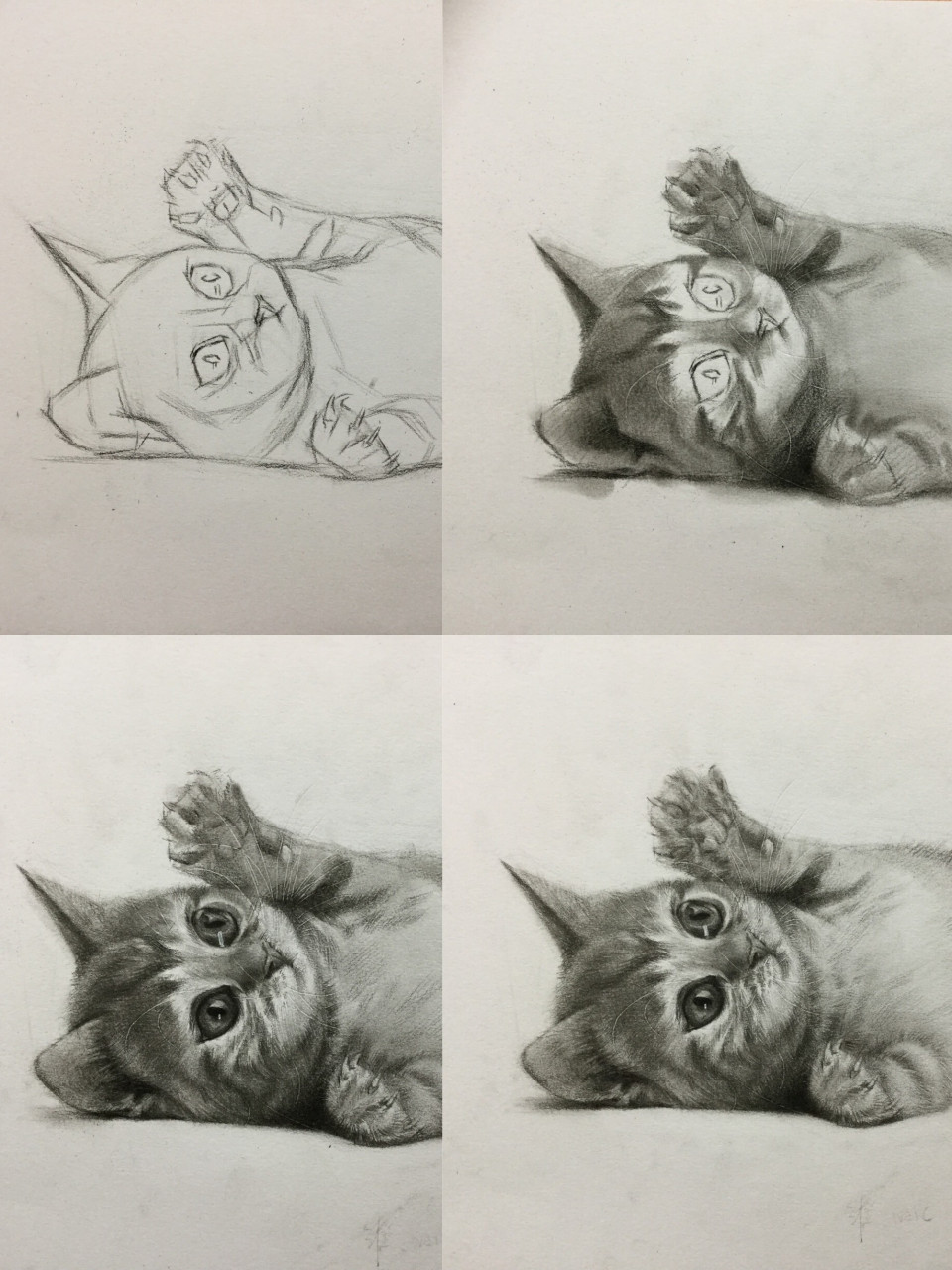 素描猫咪全身图片