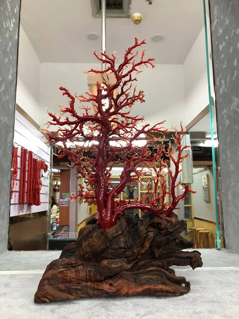 阿卡红珊瑚 牛血红 新品摆件