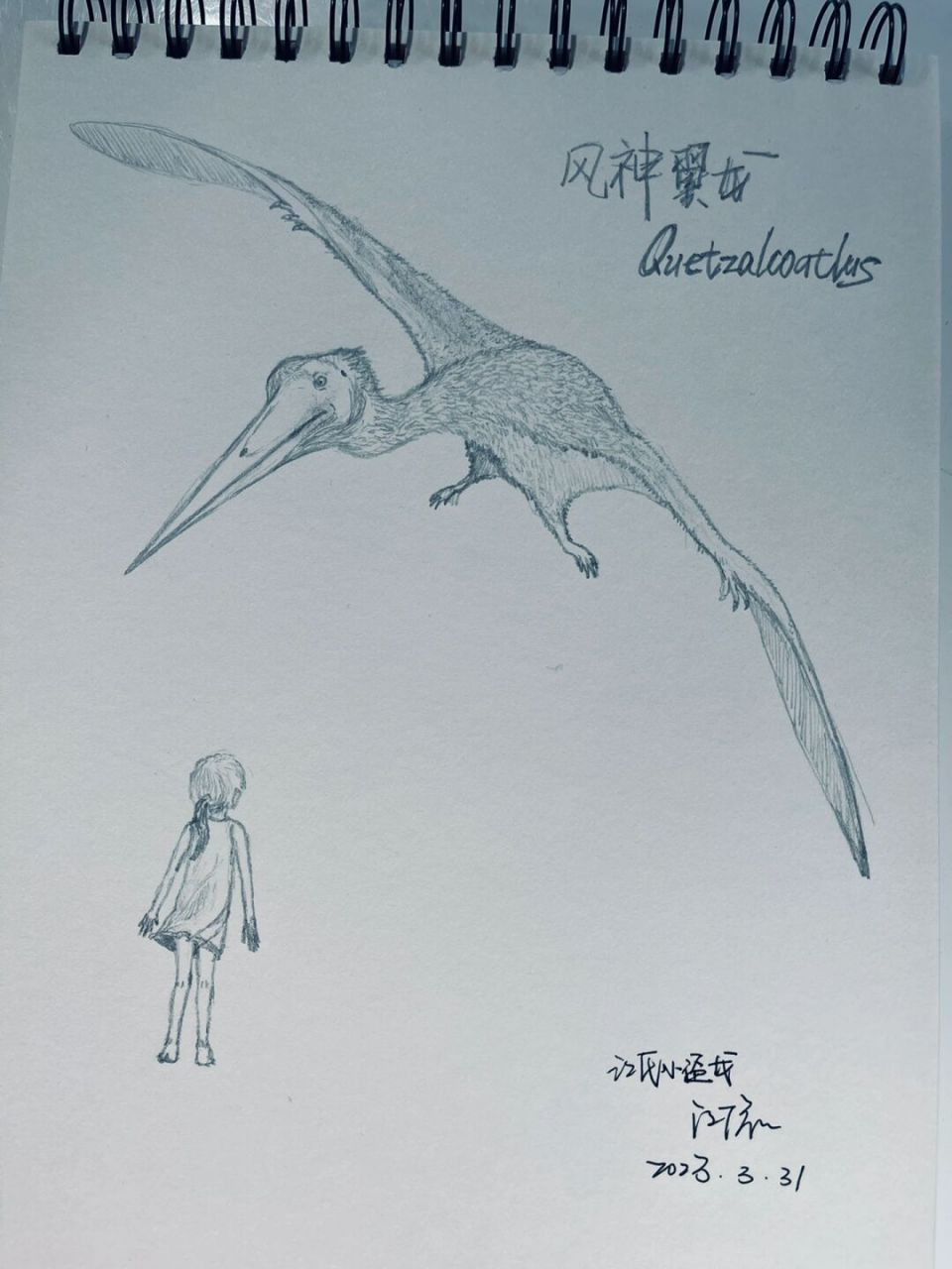 古生物# #科普# #绘画# #手涂# #翼龙## 四十分钟手涂风神翼龙一只