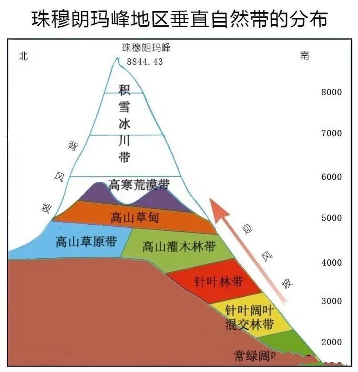 【高中地理】国内常考山脉的垂直自然带谱 1.天山 2.祁连山 3.