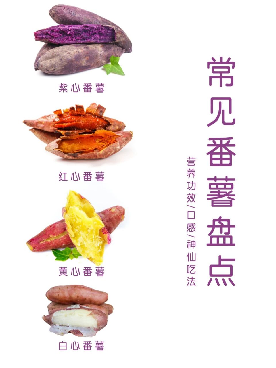 红薯品种大全图介绍图片