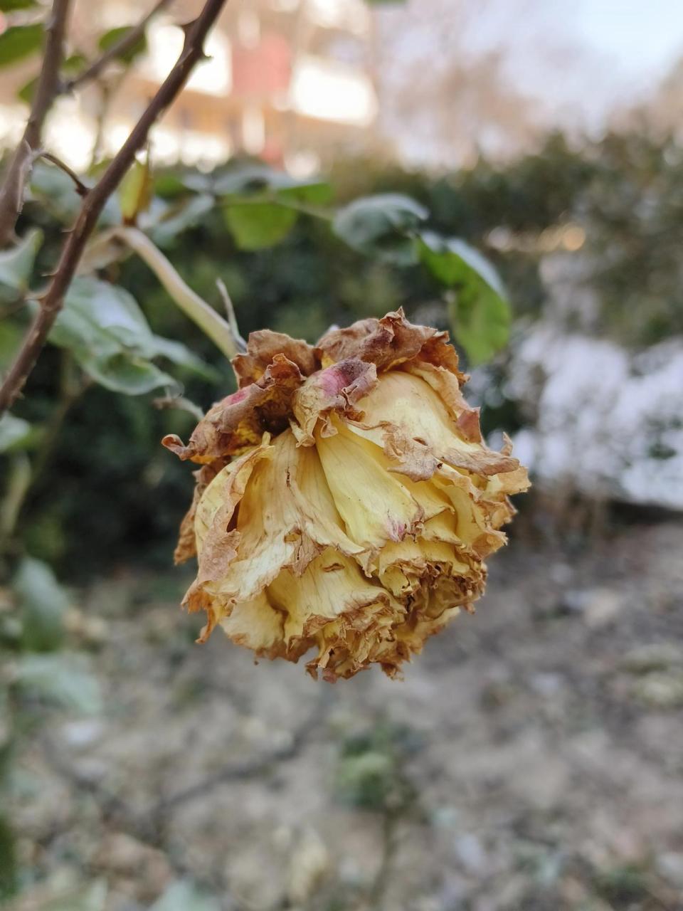 当我们经历了一段时间的等待,最终等到了我们想要的