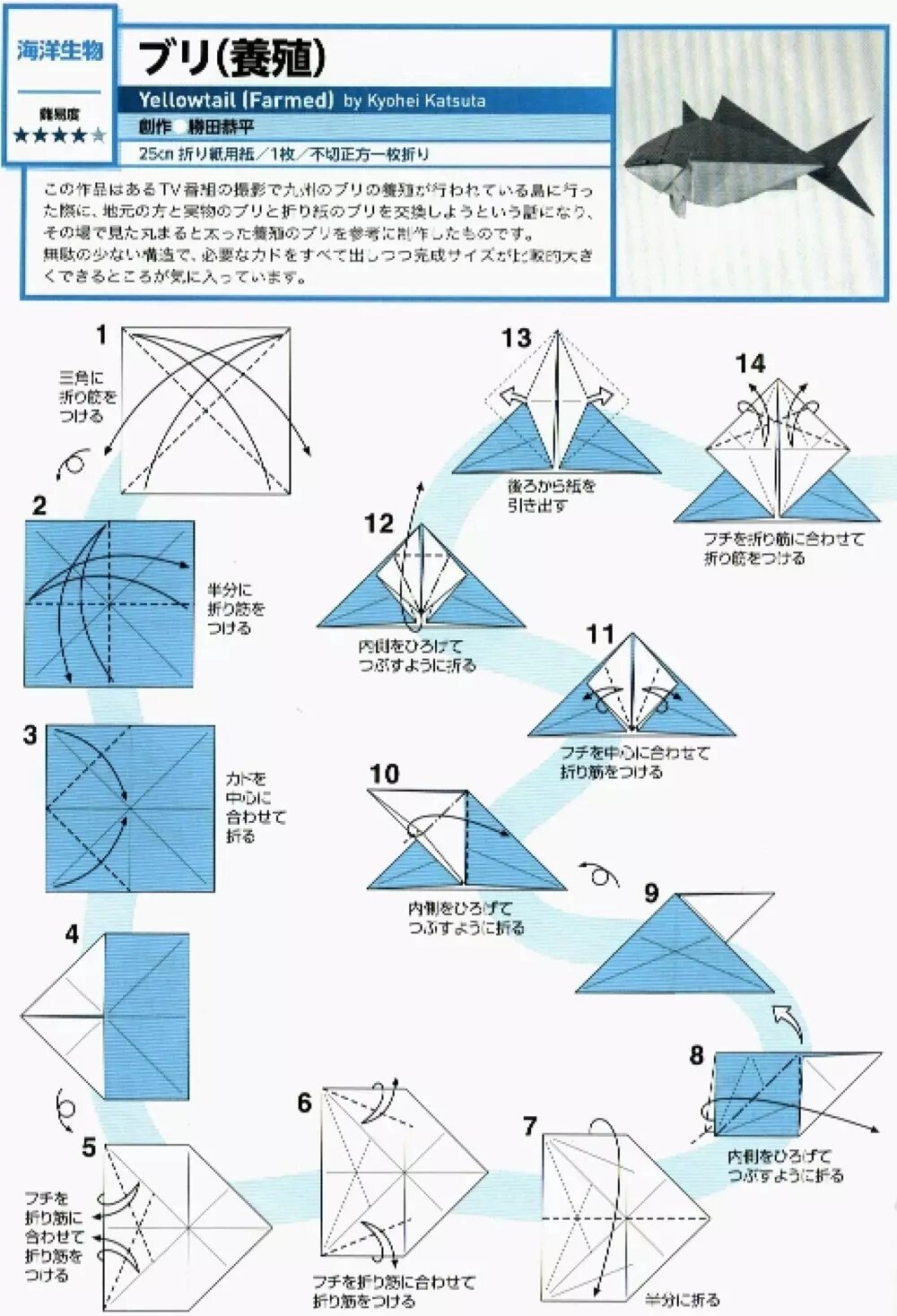 「折纸教程」鰤鱼