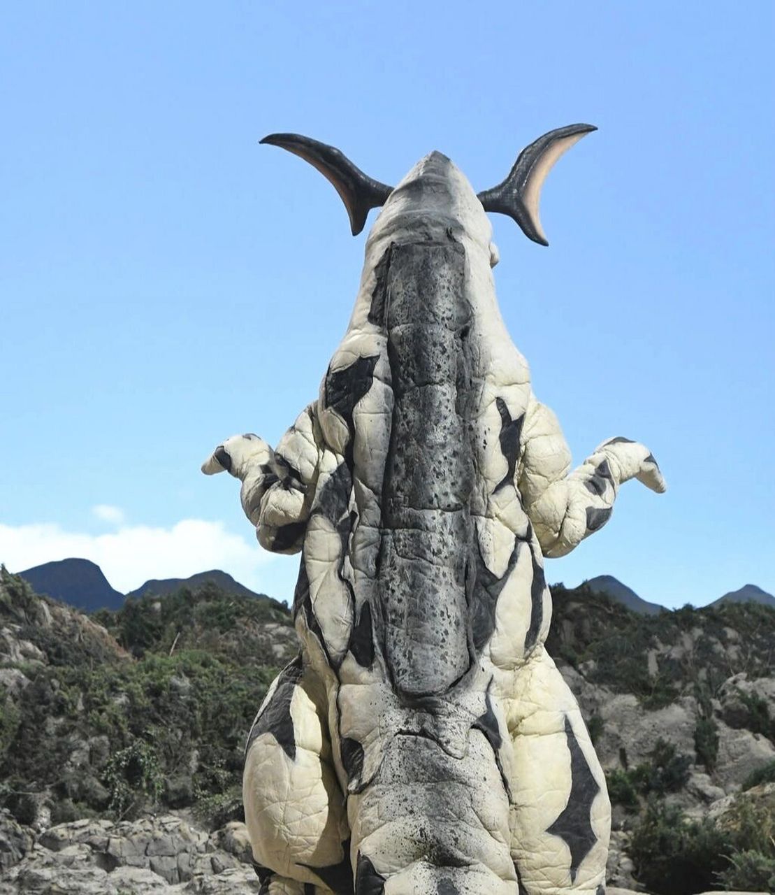 宇宙怪兽艾雷王    宇宙怪兽艾雷王多角度写真