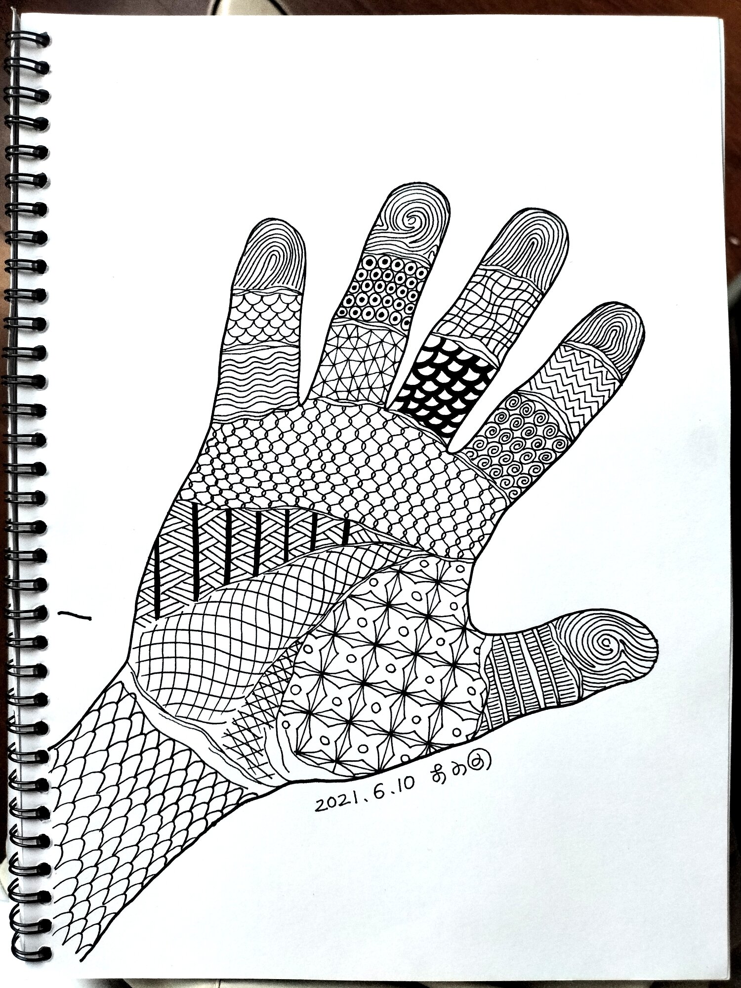 手掌世界 线描画 原创