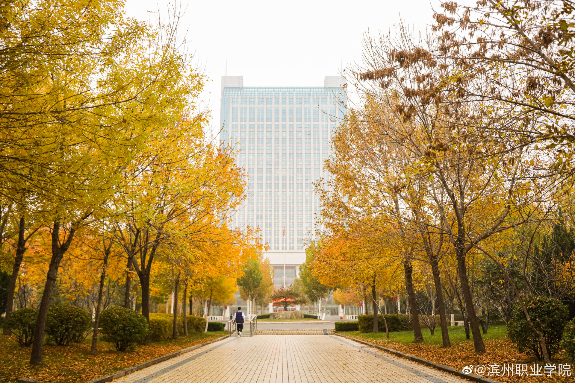 早安滨职# 不卑不亢,努力向上,不畏过往,不惧将来,能量满满的开启