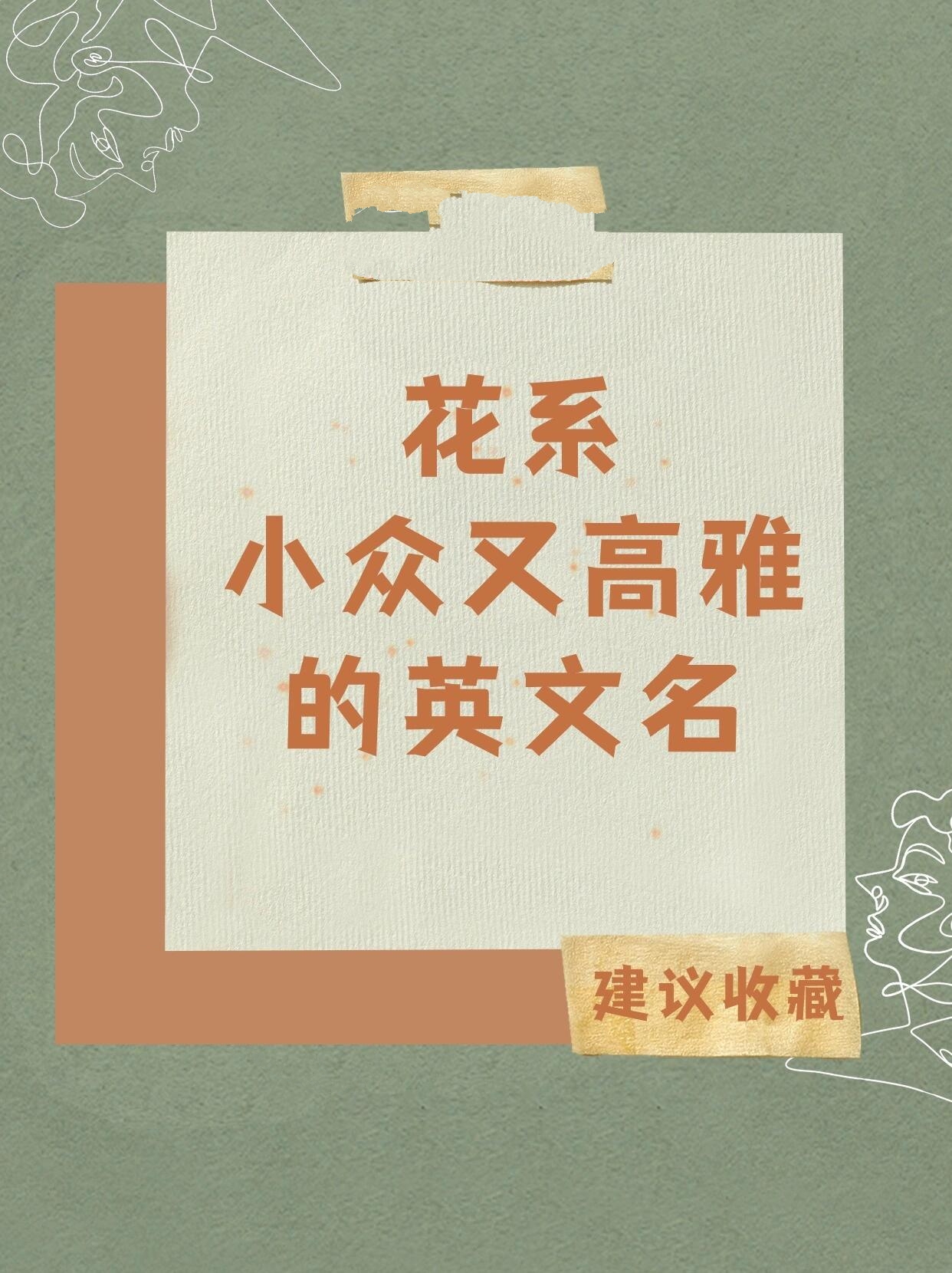 花系小众又高雅的英文名 azalea 阿泽莉娅杜鹃花又名映山红