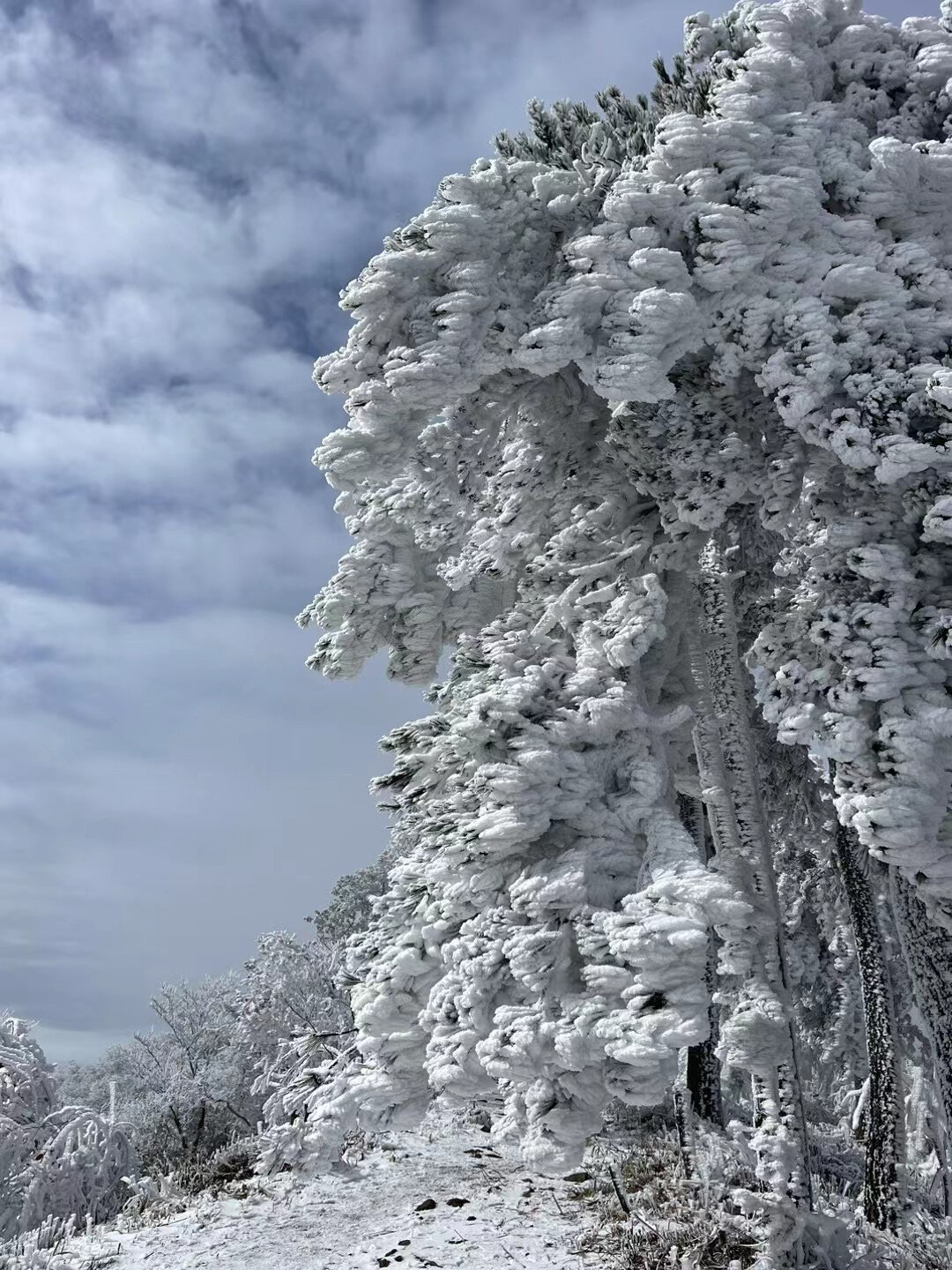 富阳最高的山图片