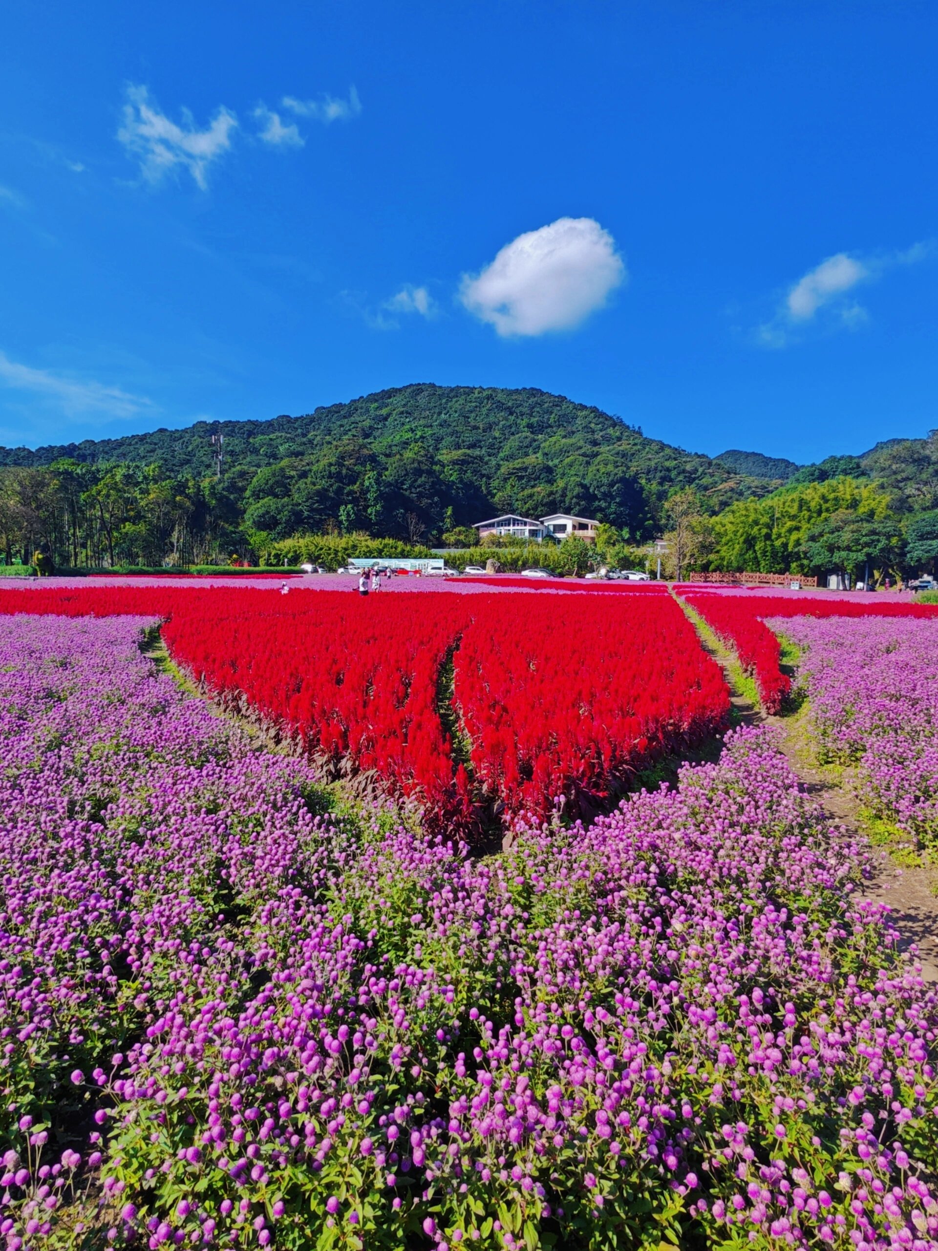 广州从化石门山森林公园