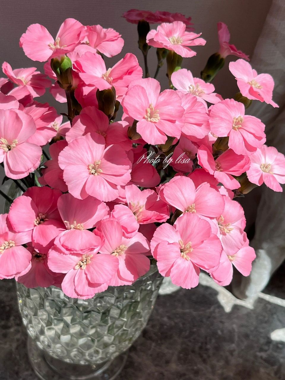 海盛娑罗蜜儿---露丝