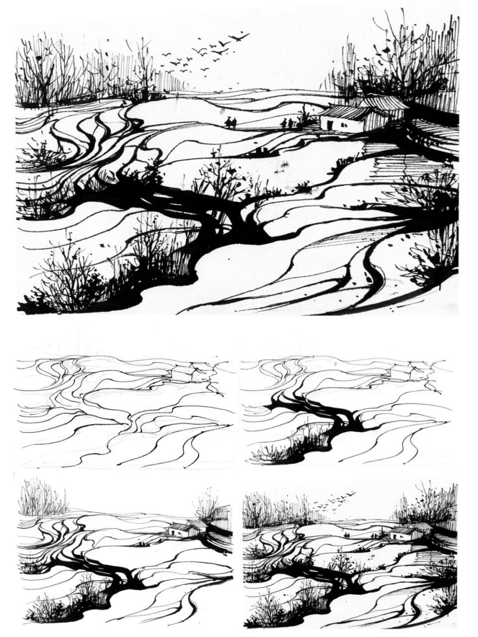 分享一组梯田的钢笔速写教程,梯田的变化丰富,很容易产生丰富的线条的