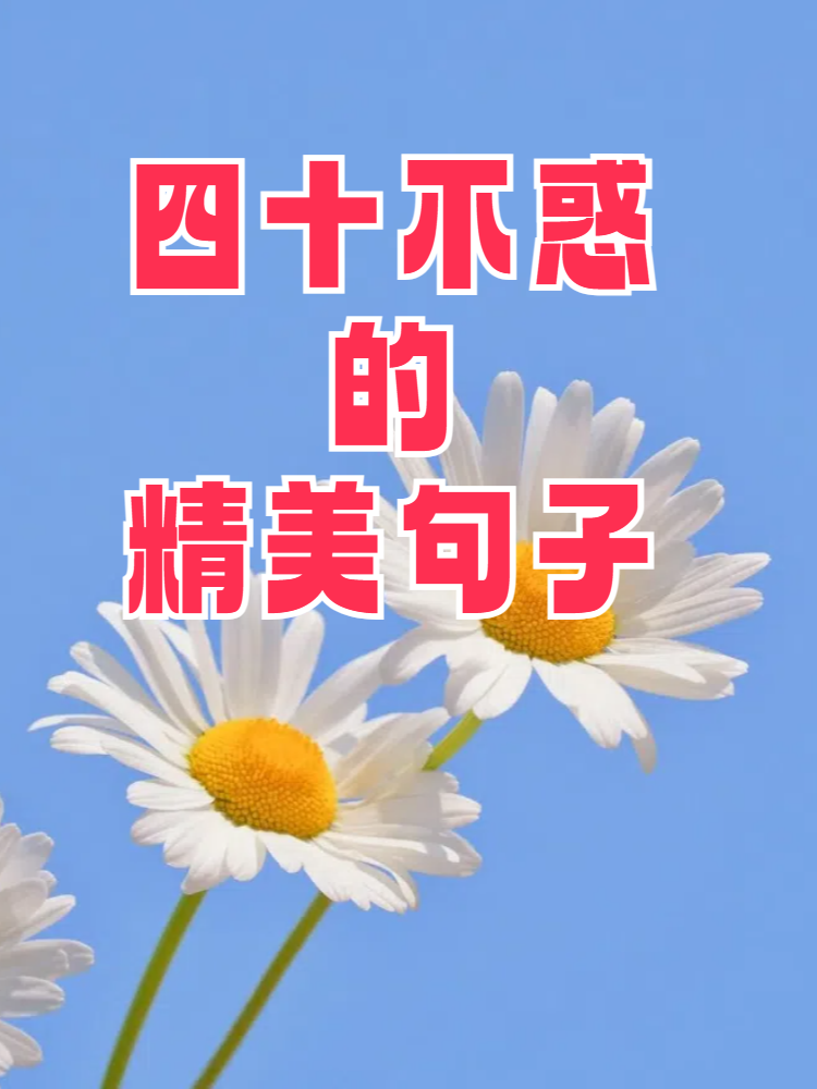 四十不惑的精美句子 大家好!