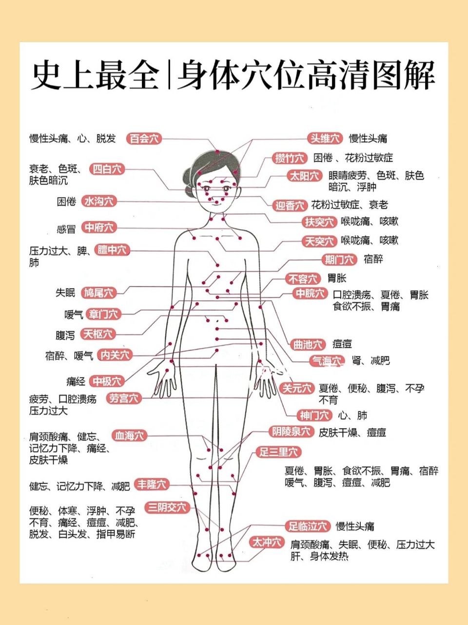 人体位置名称图 全身图片