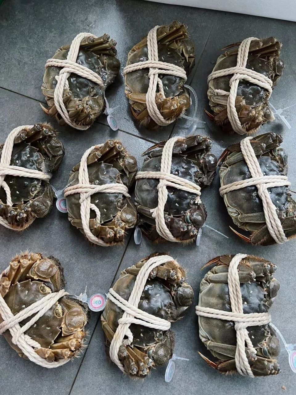 明明可以抢的他却给你一箱死蟹0215 图片与笔记内容无关7215