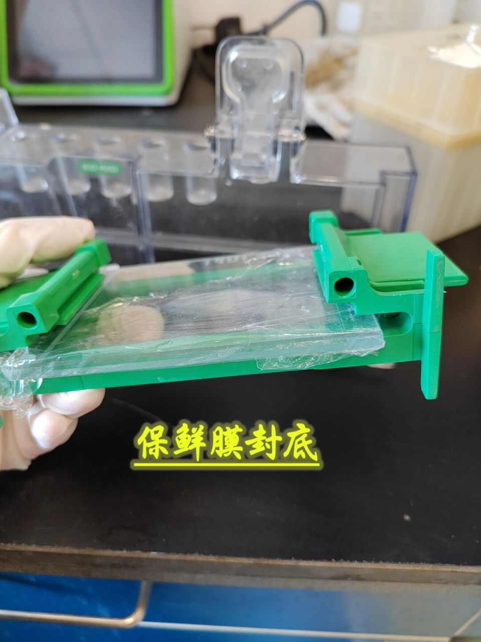 wb配胶小tips 虽然跑不出目的蛋白,但是配胶已经得心应手了,总结几个