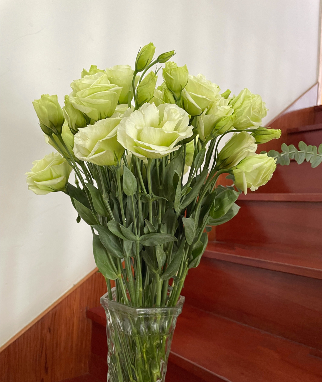 绿色桔梗花也太美了 选的二十朵 打开看到此情景 谁还会去数是不是