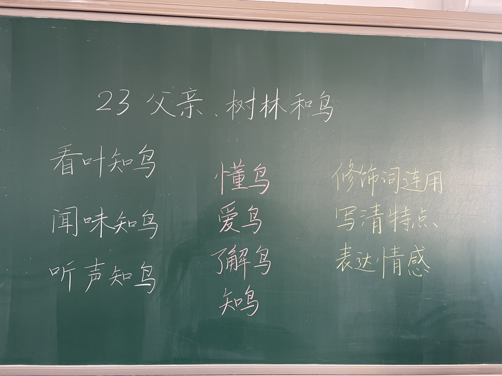 小学语文三年级上册《父亲,树林和鸟》板书 小学语文三年级上册《父亲